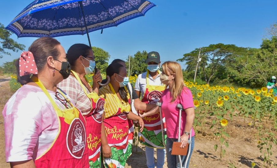 La Ruta del Girasol 2022 recibió 6 mil visitantes en su primer fin de semana