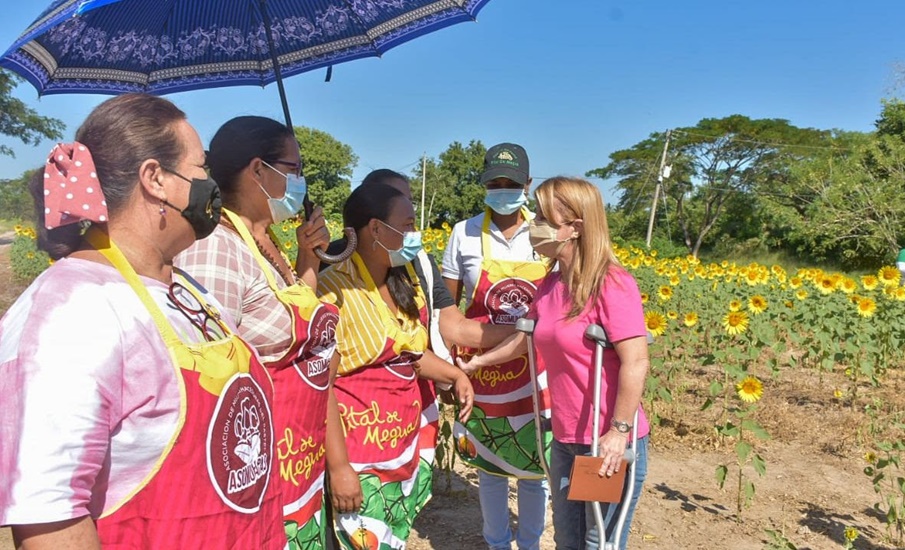 «Desde este sábado, Usiacurí y Baranoa abrirán sus campos florecidos para reactivar la Ruta del Girasol»: Elsa Noguera