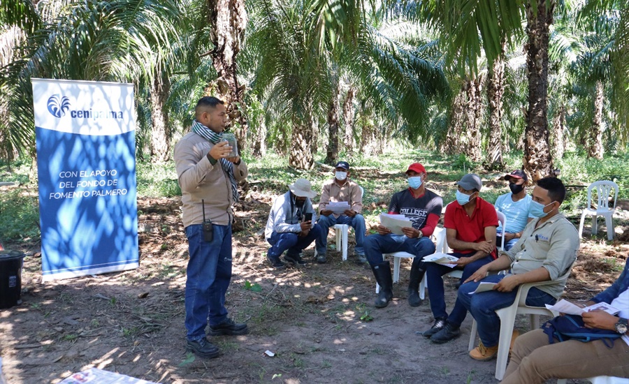 Cargill y Cenipalma suscriben convenio que aporta al cierre de brechas de sostenibilidad en la agroindustria de la palma de aceite en Colombia