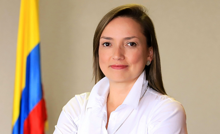 Dominio .CO, la marca de Colombia en la red, generó ingresos por 142.000 millones de pesos