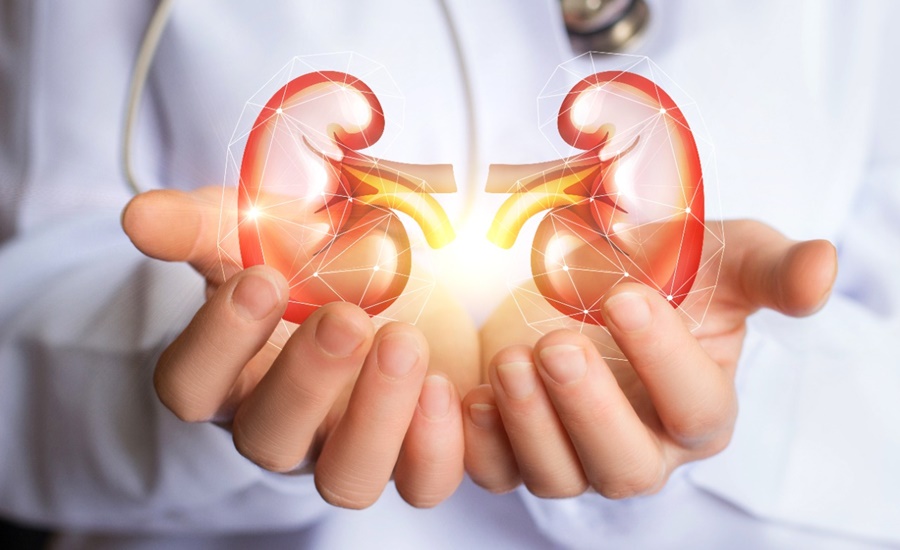 Según cifras de Nueva EPS, en Colombia son más las mujeres con Enfermedad Renal Crónica 