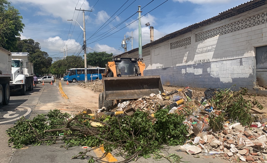 Con siembra de árboles y paisajismo, predio convertido en basurero será zona verde en el suroccidente