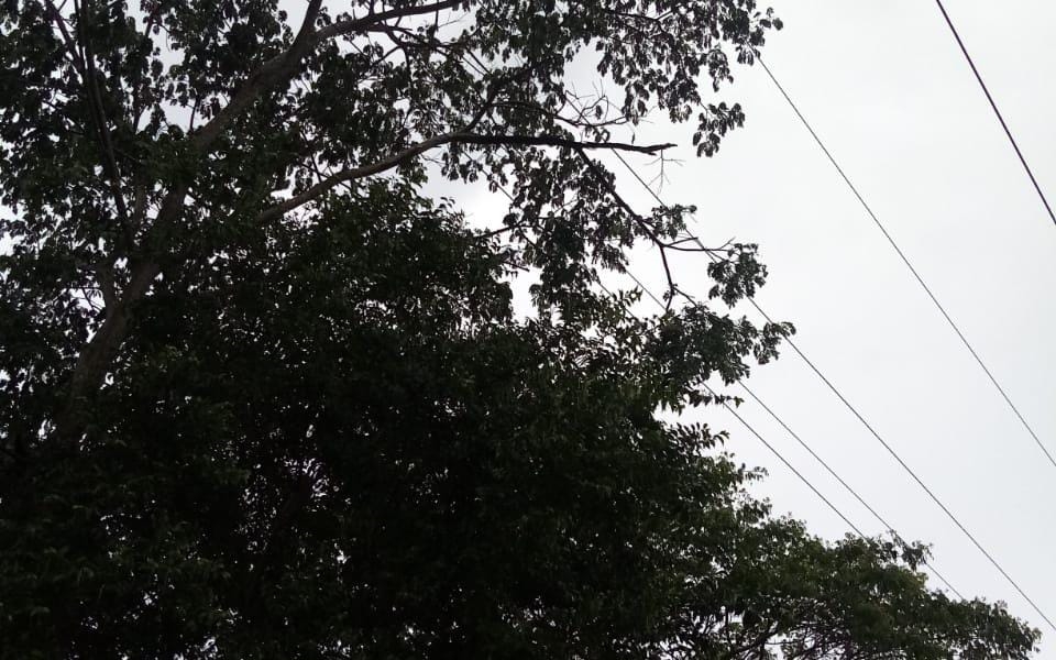 Restablecen servicio de energía en poblaciones afectadas por vendaval en el sur del Atlántico