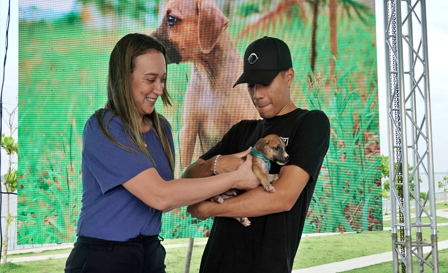 ‘Adoptar es Salvar’, campaña distrital que busca hogares responsables para animales en condición de calle