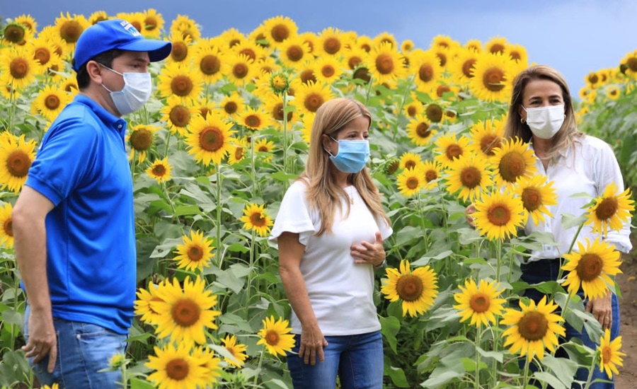 “Regresa la Ruta del Girasol con una nueva parada en Galapa”: Elsa Noguera