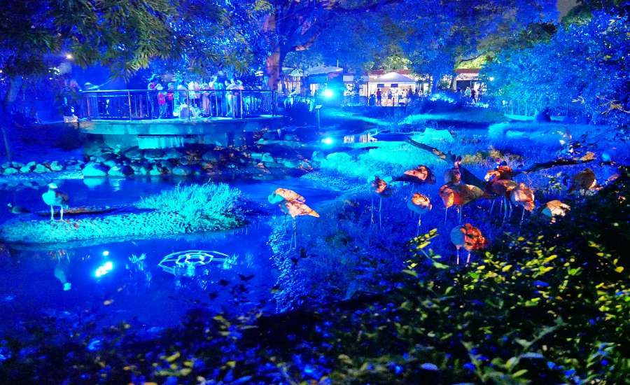 Vuelve el Safari Nocturno del Zoo como un bosque encantado