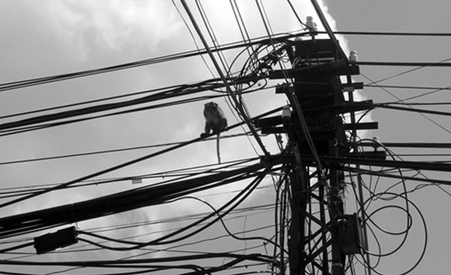 Con decreto, Distrito de Barranquilla pone en marcha cruzada contra las ‘telarañas’ de cables en postes