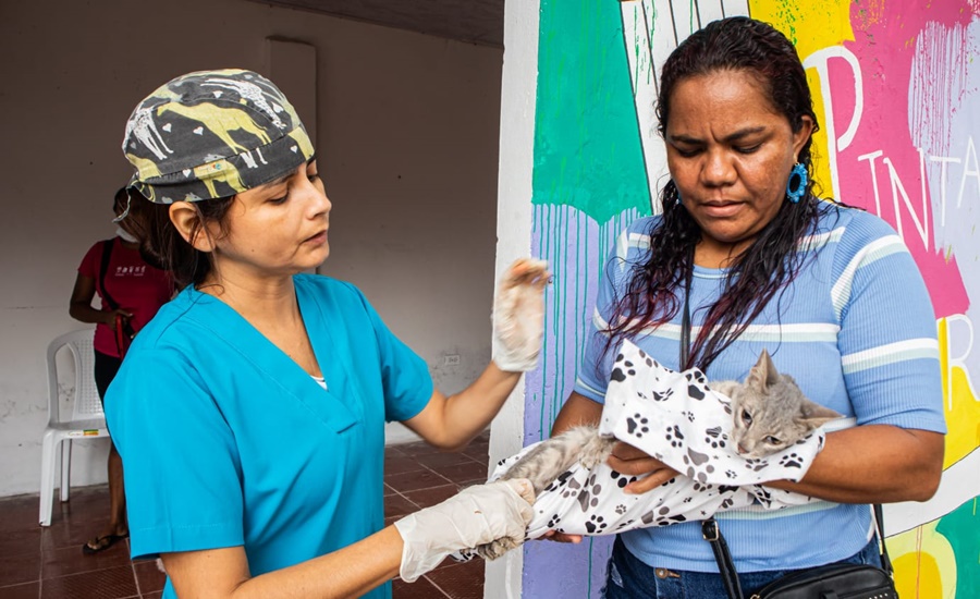 Jornada de esterilización en Santo Tomás