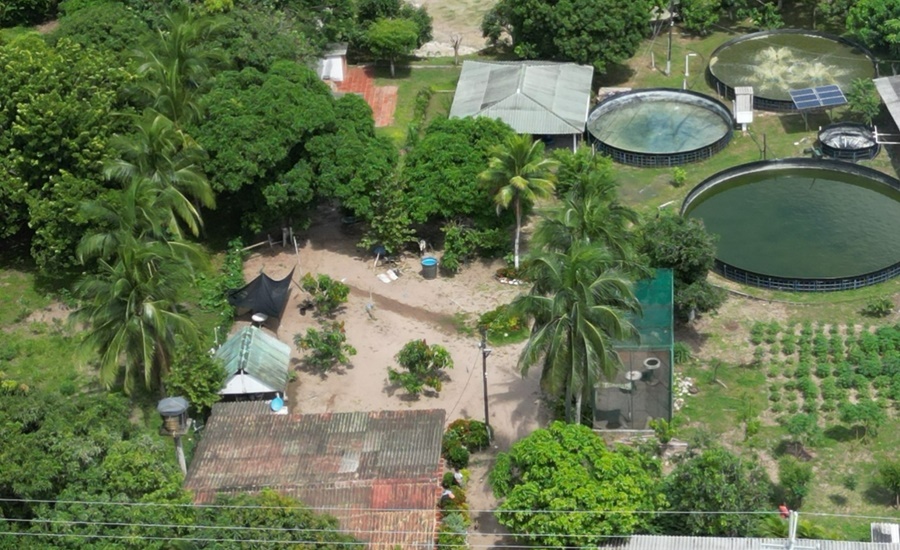 Con luz robada operaban estanques piscícolas en Baranoa