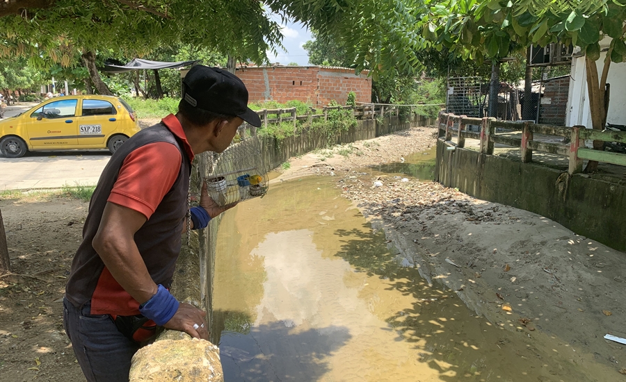 Arroyos de Barranquilla, en un 90 % libres de basuras
