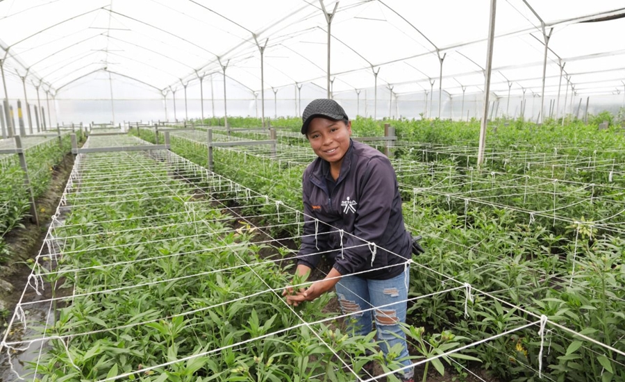 SENA abre convocatoria especial de formación para el agro