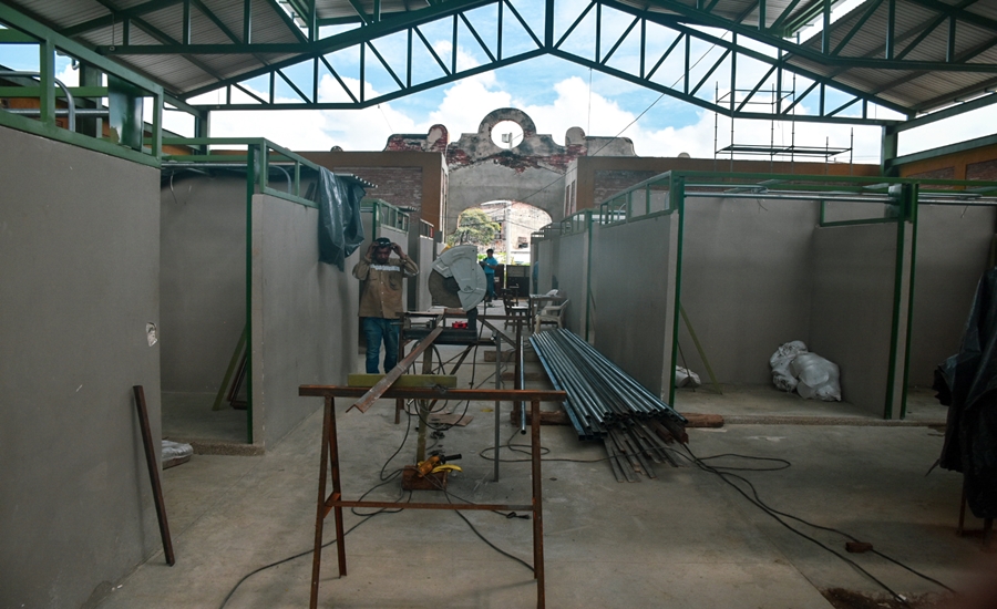 Mercado de granos avanza en su primera etapa
