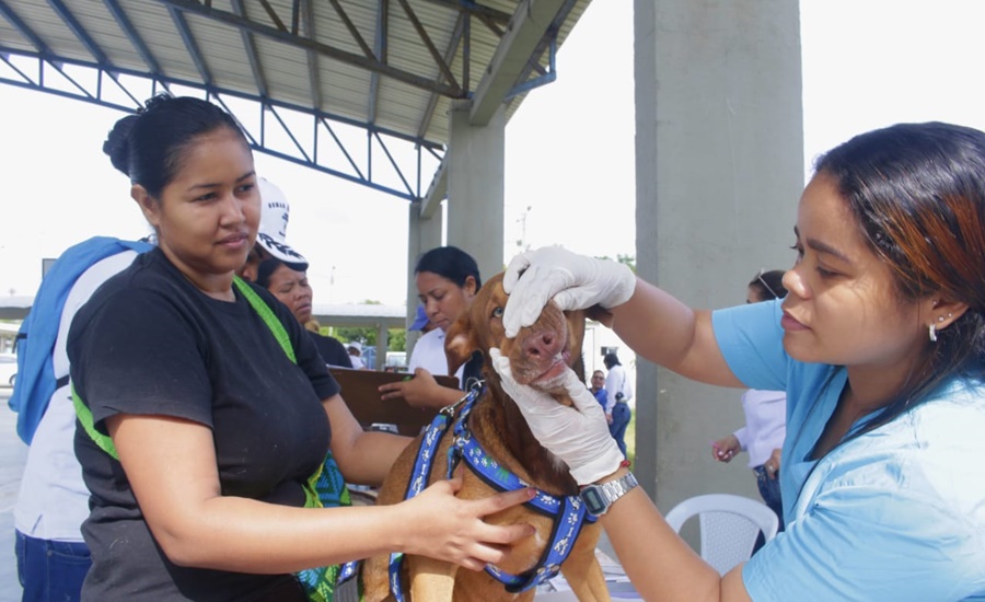 En el Día Mundial contra la Rabia, Secretaría de Salud del Atlántico realizó jornada de bienestar animal en Malambo