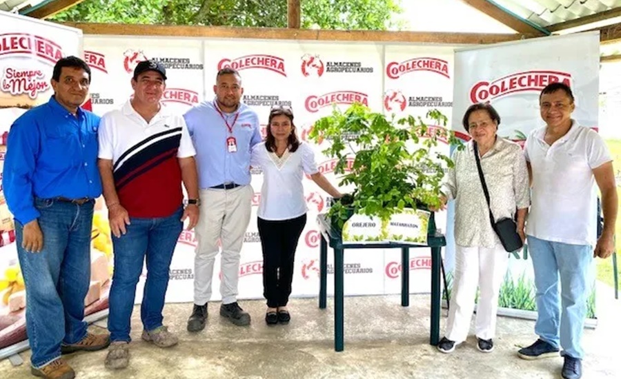 Lo que era un sueño, hoy es una realidad: vivero Coolechera