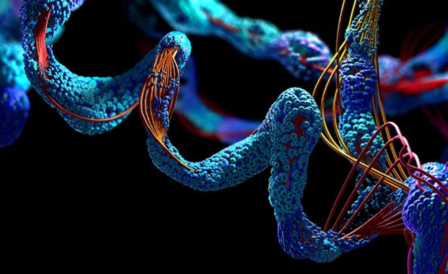 Estudio sobre mutaciones genéticas revela afectaciones de metabolismo asociadas al TDAH