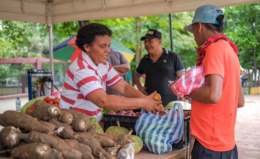 Más nutrición y ahorro llevaron mercados campesinos a familias de Henequén y Nuevo Paraíso