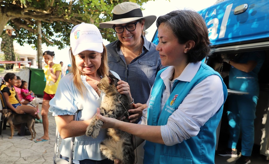 «En Piojó, estamos garantizando atención integral en salud a las familias damnificadas, a sus mascotas y animales en condición de calle»: Elsa Noguera