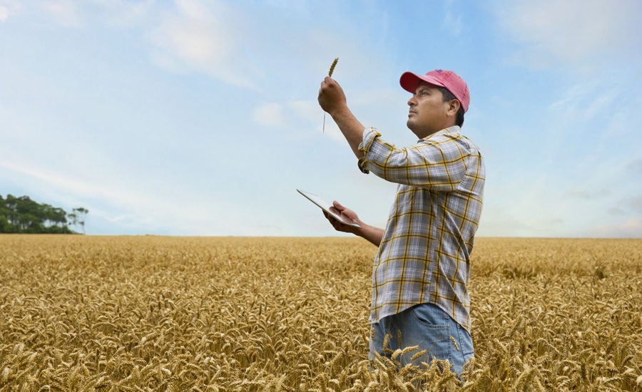 Desafío AgroFoodTech de CIVLAC: Una nueva instancia de innovación abierta entre startups y grandes compañías