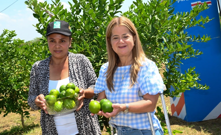 Avanza la transformación agroindustrial del sur del Atlántico con cultivos de palma de aceite, limón, cacao y plátano