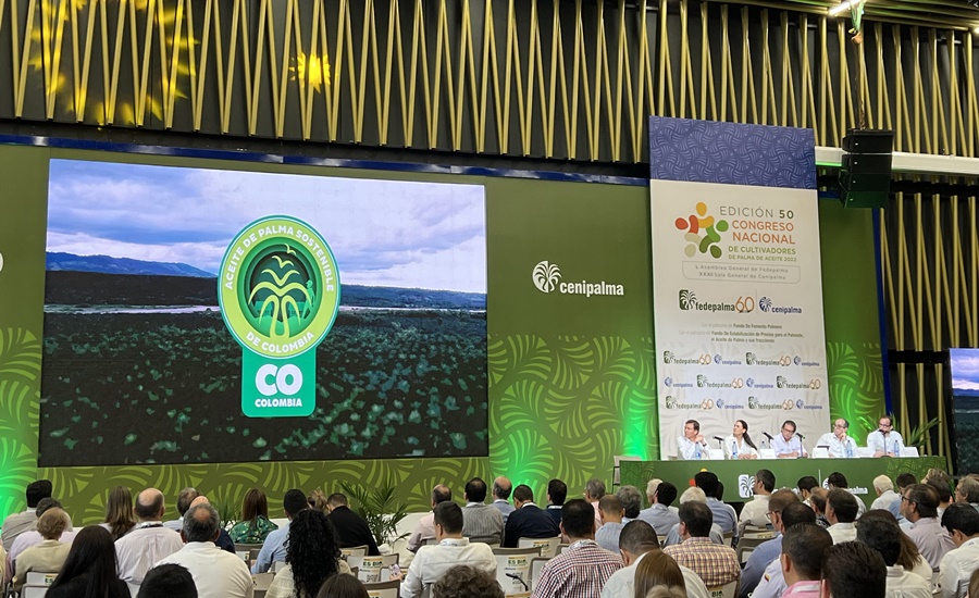 Todo listo para la edición 51 del Congreso Nacional de Palmicultores
