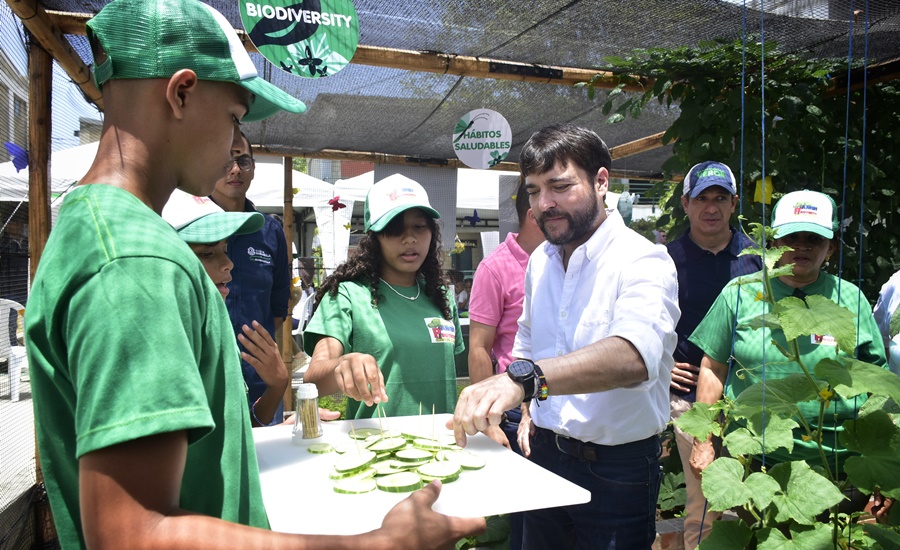 Huertos escolares, una estrategia de responsabilidad ambiental que empieza con la educación 