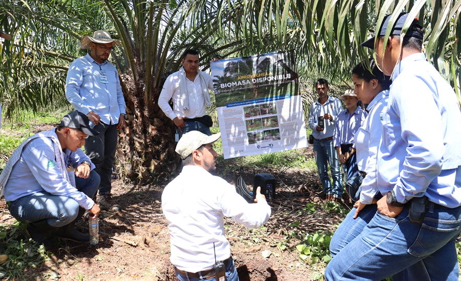 Con éxito avanza agenda de capacitación del proyecto palma de aceite y biocarbono en Orinoquia