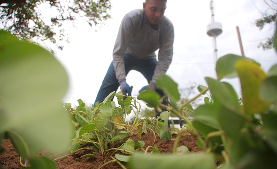 Con 1.145 nuevos metros cuadrados de paisajismo en Las Cayenas, Barranquilla se sigue consolidando como una biodiverciudad 