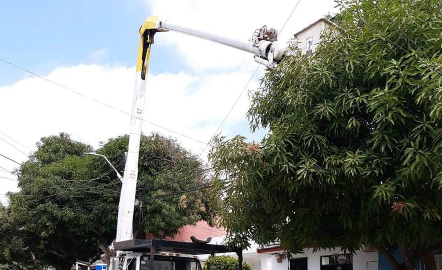 Este viernes 30 de junio, Air-e realiza poda técnica en Ciudad Paraíso y San Vicente en Soledad