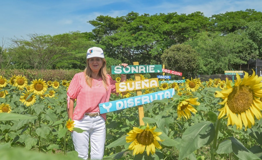 La Ruta del Girasol continúa en Baranoa