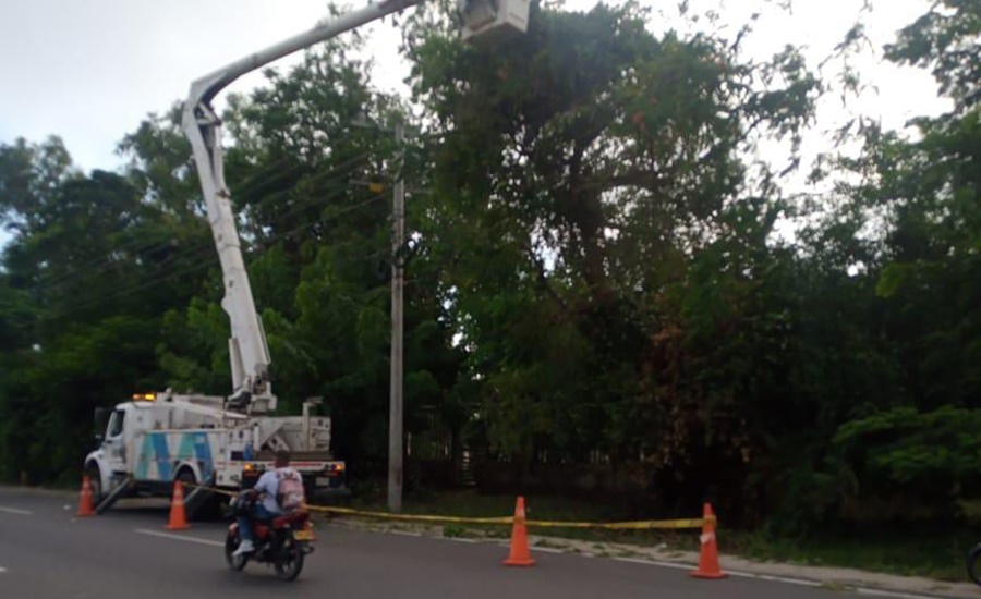 Normalizan servicio de energía en municipios afectados por vendaval