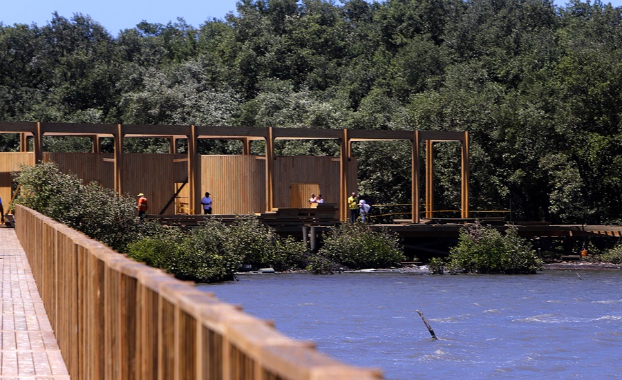Ecocultura, el legado que inicia con la ciénaga de Mallorquín