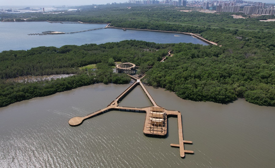 Barranquilla, ciudad modelo escogida por la ONU por su apuesta a la restauración de ecosistemas urbanos
