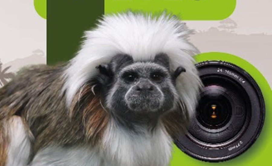 Fotografía «Atlántico Respira Ambiente 2023» y I versión de “Videos de Educación ambiental”