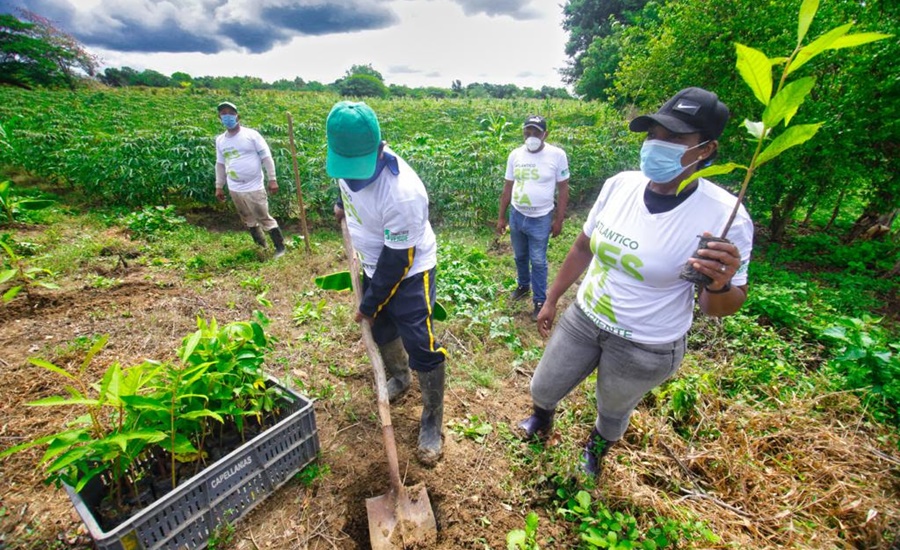 El SIRAP Caribe, reporta 513.000 ha de ecosistemas estratégicos preservados en el 2023