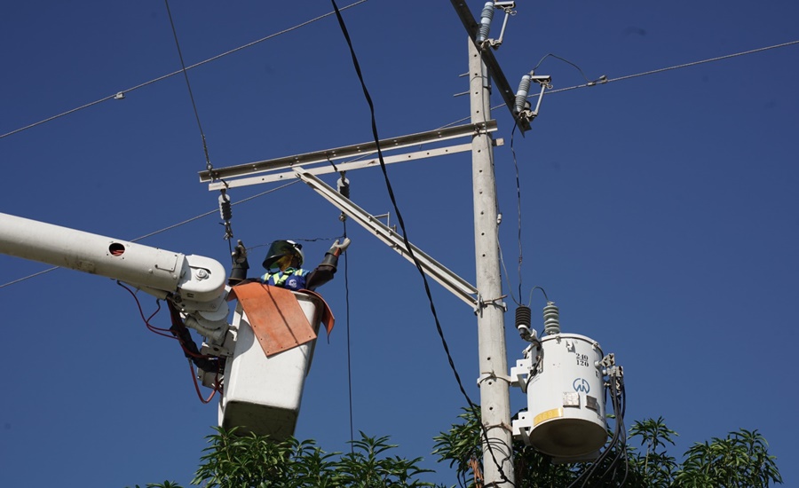 Trabajos en poda de árboles en los municipios de Luruaco y Repelón