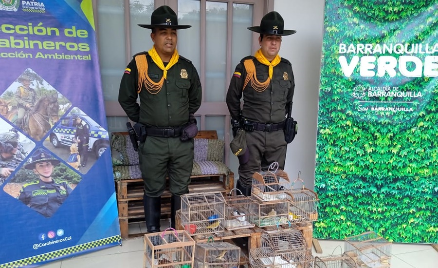 A proteger la fauna silvestre en esta Semana Santa, llamado de la autoridad ambiental en Barranquilla