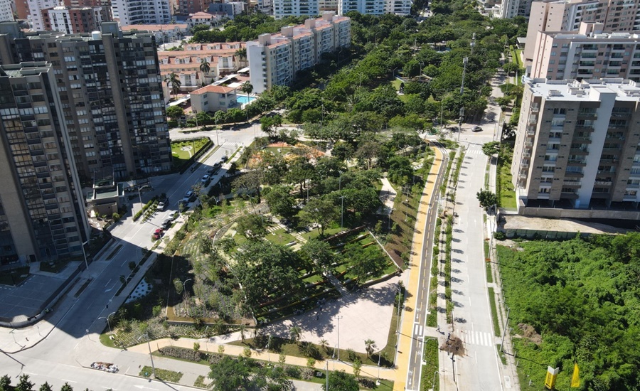 Barranquilla, ciudad árbol del mundo por quinto año consecutivo