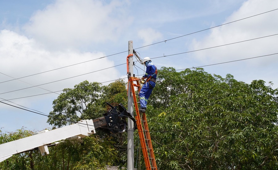 Mejoras eléctricas en los circuitos Ciudadela, Arboleda y Sabanagrande 2