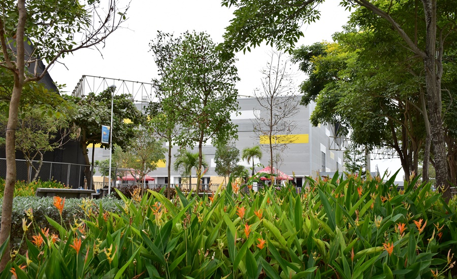 Barranquilla, ‘Ciudad Árbol del Mundo’ por quinto año consecutivo