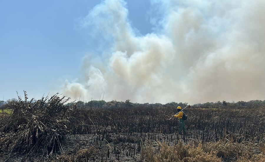 Por incendios en Parque Isla Salamanca, del Magdalena, Distrito emite recomendaciones