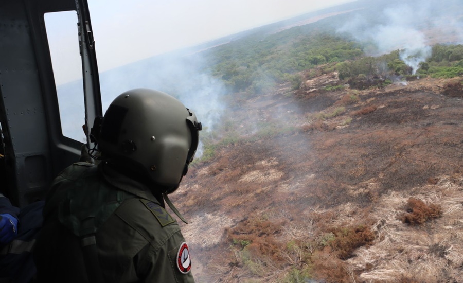 Factores criminales como la caza ilegal y la extracción de carbón vegetal habrían ocasionado emergencia en Isla Salamanca