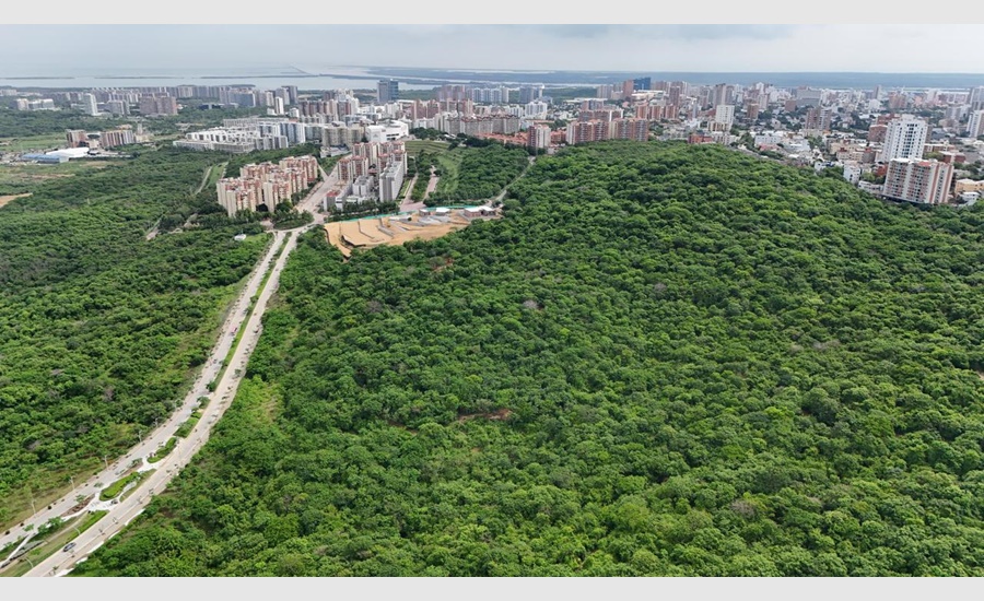 Para impulsar el deporte y el ecoturismo, alcalde Char confirma reactivación de obras en Bosque Urbano de Miramar