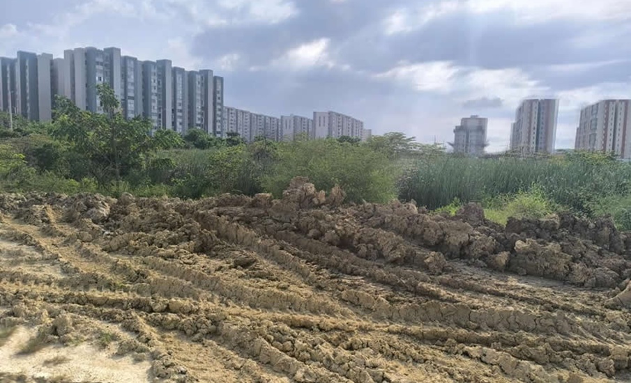 C.R.A impulsó medida preventiva de suspensión de actividades a Constructora Amarilo, por tala de cobertura vegetal en Alameda del Río
