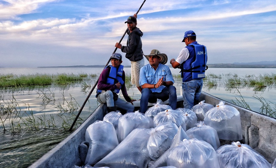 Gobernación del Atlántico superó metas de repoblamiento de alevinos en El Guájaro