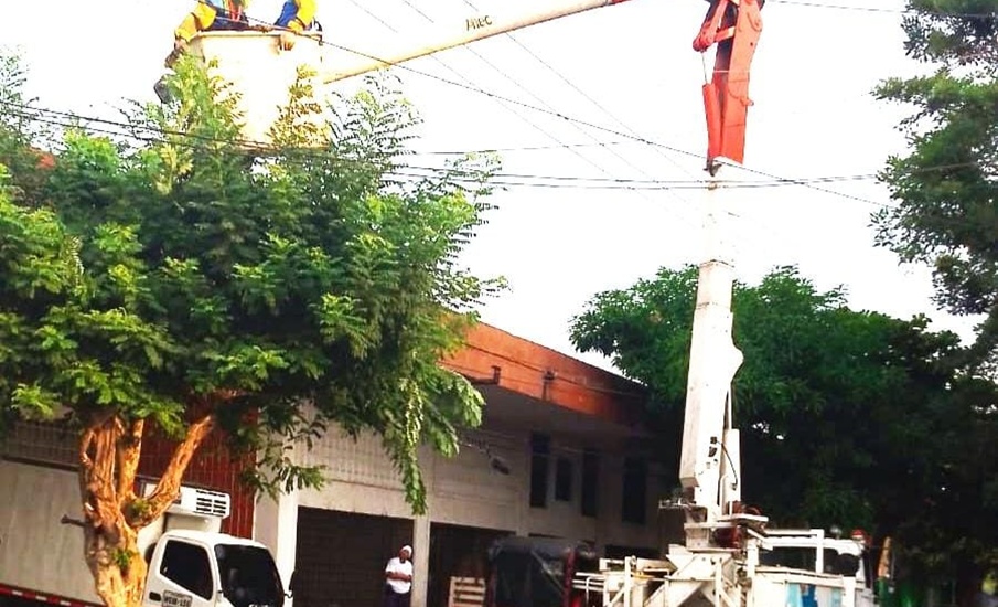 Trabajos de instalación de redes eléctricas y poda en un sector del barrio El Silencio