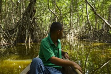 El Vía Parque Isla Salamanca es una de los mundos del videojuego donde se deberán reconocer diversos tipos de mangle