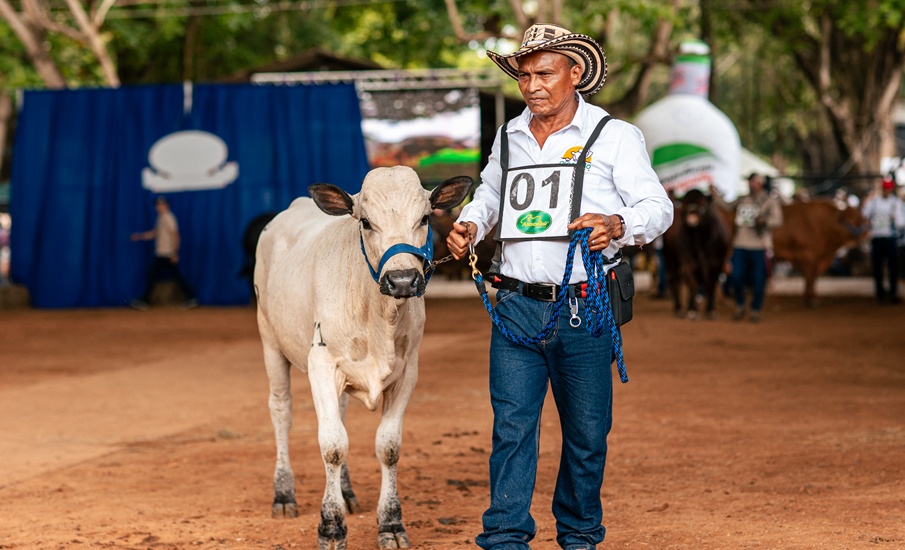 Montería hizo historia con la primera feria de ganadería en Colombia conectada a Starlink