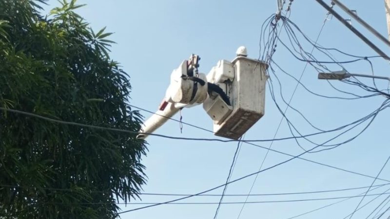 Trabajos de mantenimiento en circuito que alimenta sectores del centro de Barranquilla