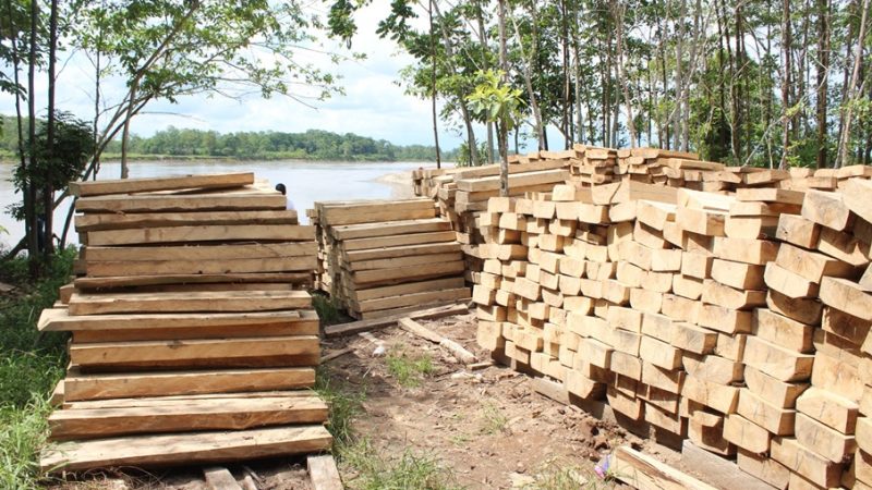 La madera legal del bosque natural sí tiene futuro en Colombia