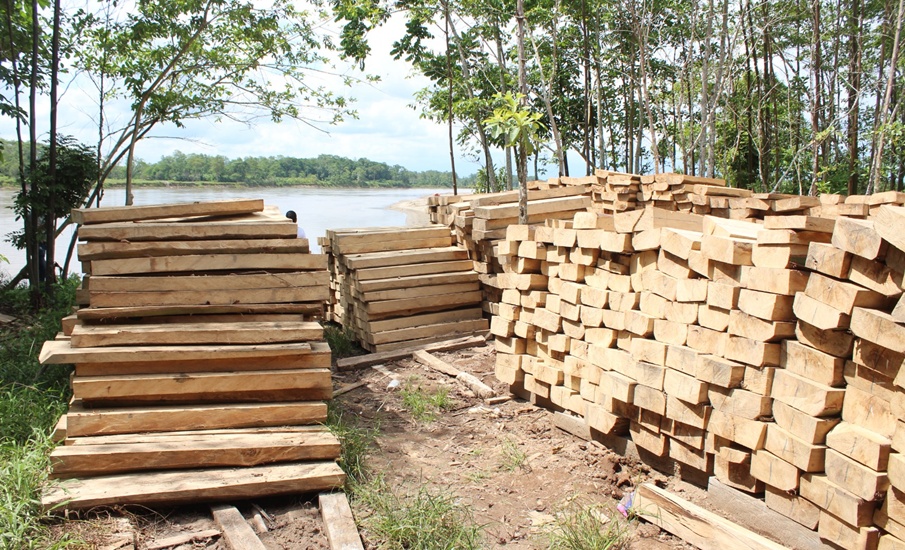 La madera legal del bosque natural sí tiene futuro en Colombia